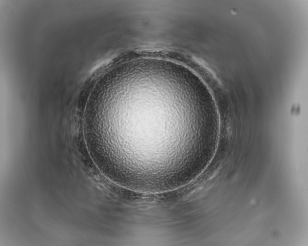 X0000091371350200708101523