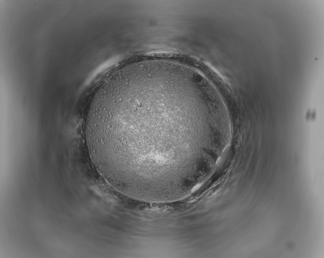 X0000091371351200708101523