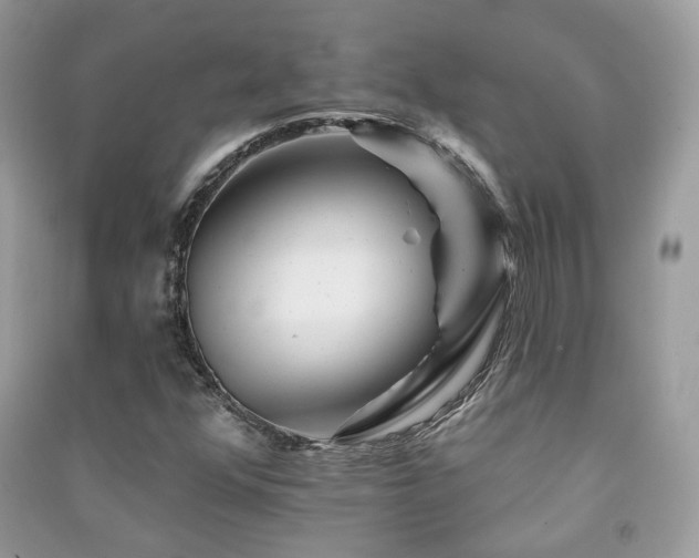 X0000091371352200708101523