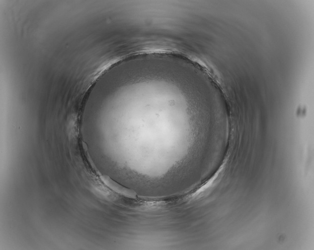 X0000091371353200708101523