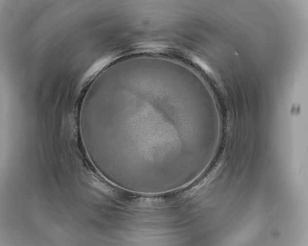 X0000091371354200708101523