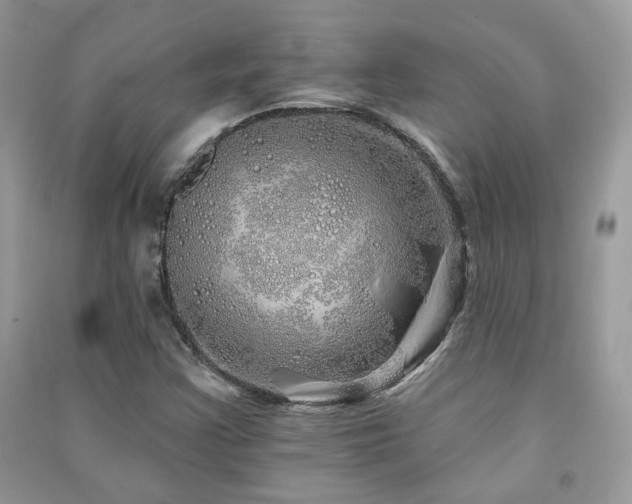 X0000091371355200708101523