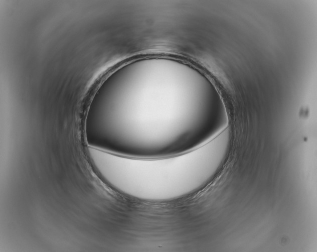 X0000091371356200708101523