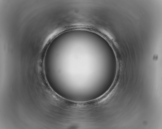 X0000091371357200708101523