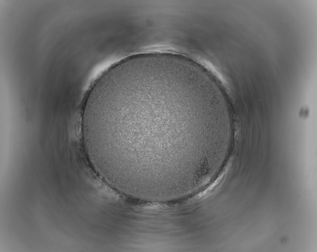 X0000091371358200708101523