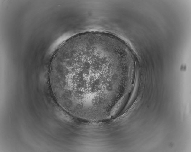 X0000091371359200708101523