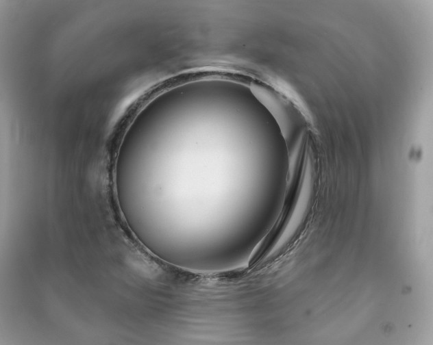 X0000091371360200708101523