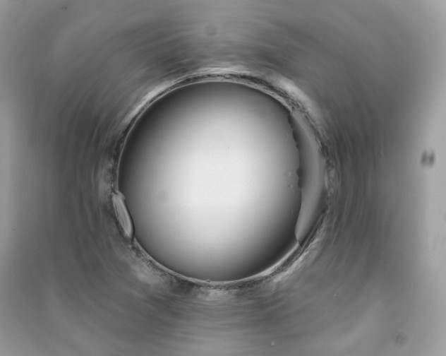 X0000091371361200708101523