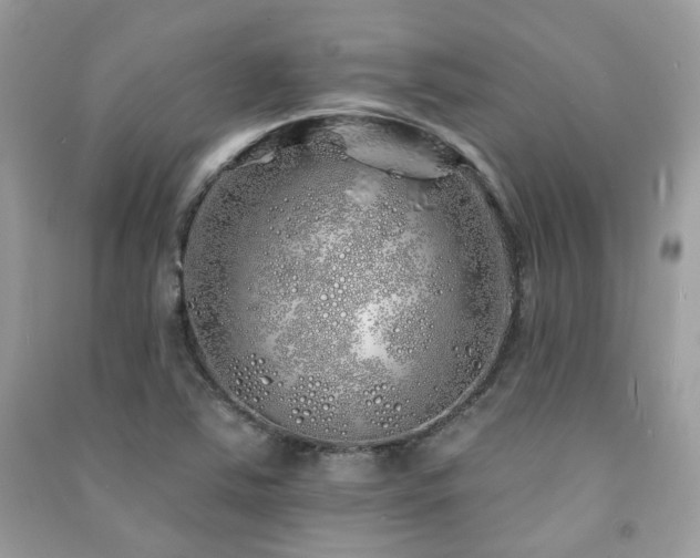 X0000091371363200708101523