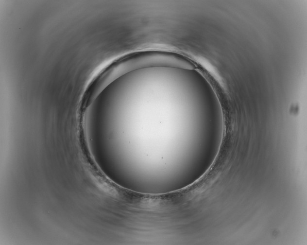 X0000091371364200708101523