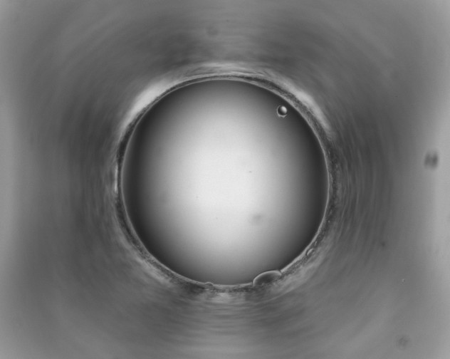 X0000091371365200708101523