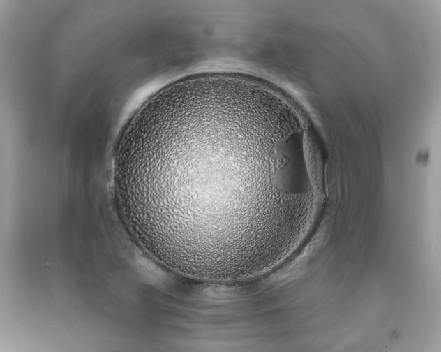 X0000091371366200708101523