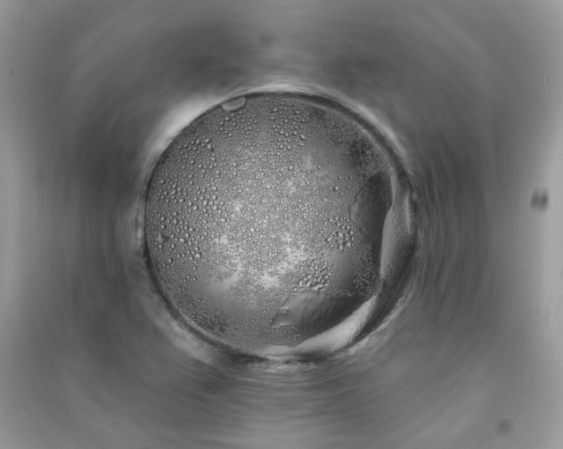 X0000091371367200708101523