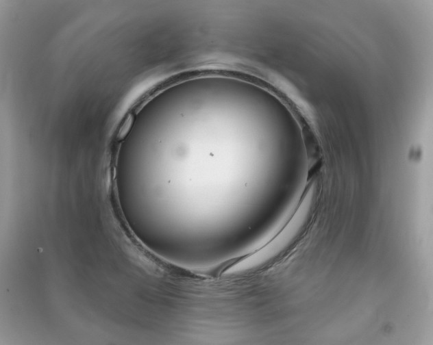 X0000091371368200708101523