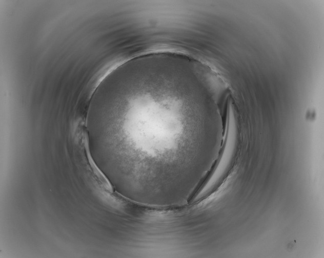 X0000091371369200708101523