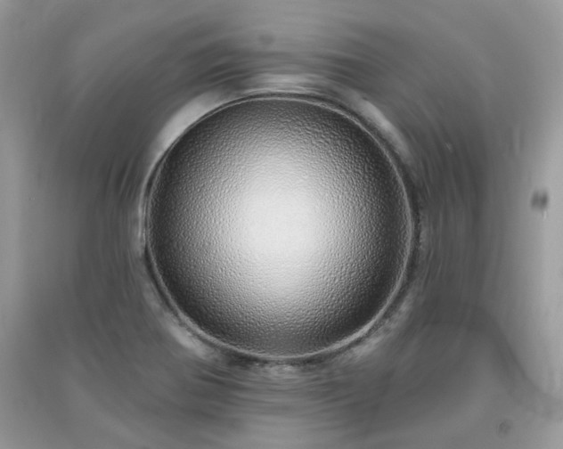 X0000091371370200708101523