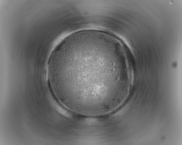 X0000091371371200708101523