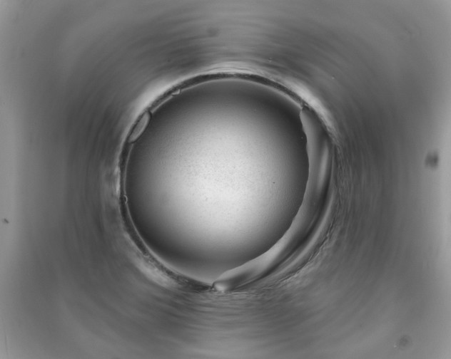 X0000091371372200708101523