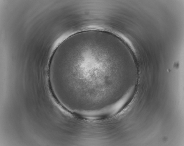 X0000091371373200708101523