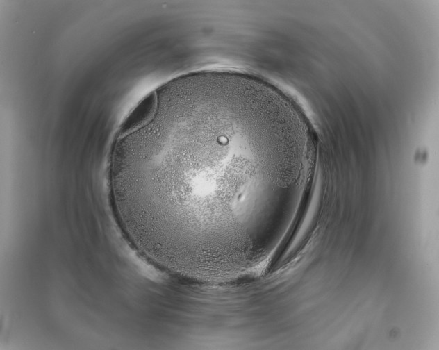 X0000091371375200708101523