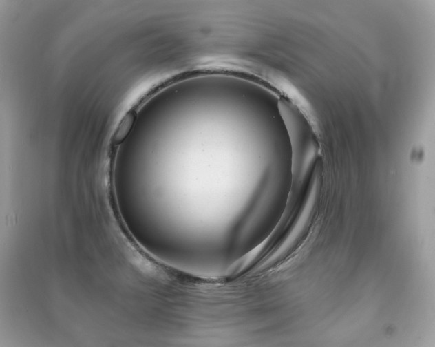 X0000091371376200708101523