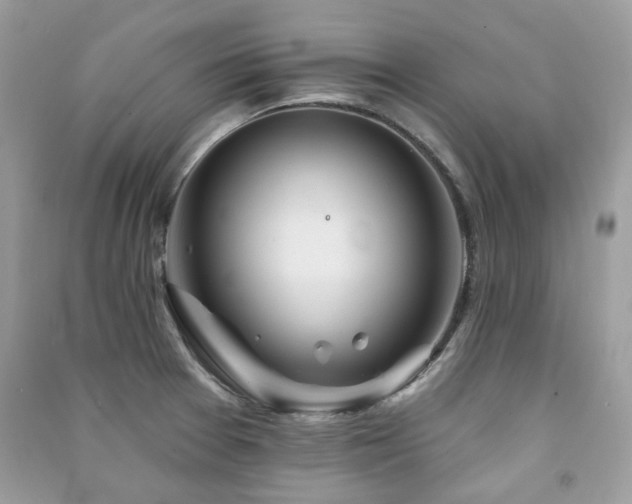 X0000091371377200708101523