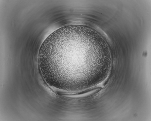 X0000091371378200708101523