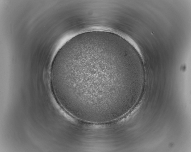 X0000091371381200708101523