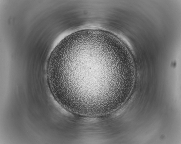 X0000091371382200708101523