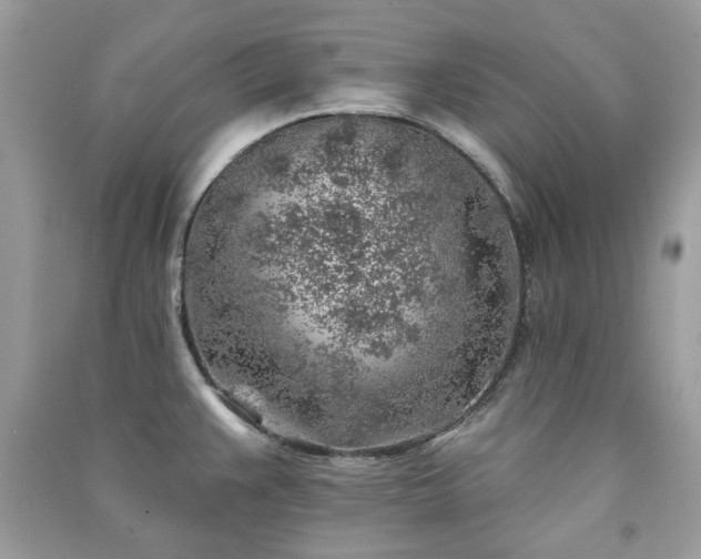 X0000091371383200708101523