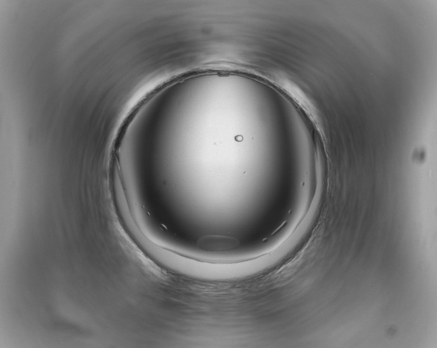 X0000091371384200708101523