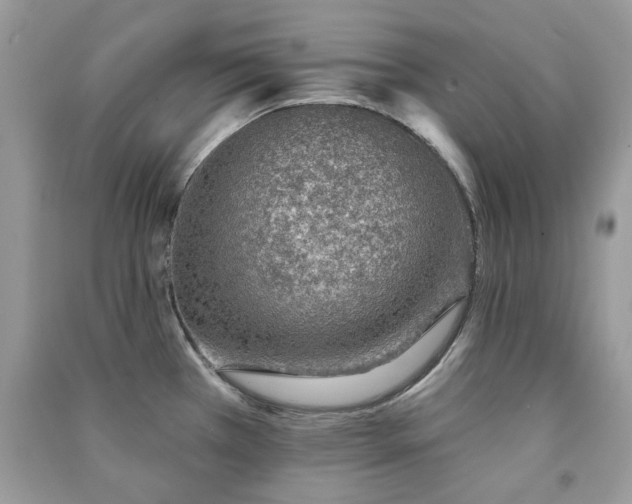 X0000091371385200708101523