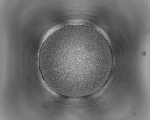 X0000091371386200708101523