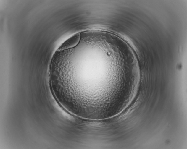 X0000091371387200708101523