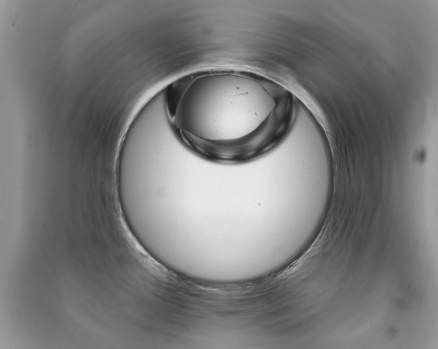 X0000091371388200708101523