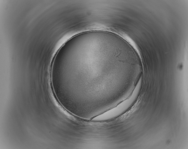 X0000091371389200708101523