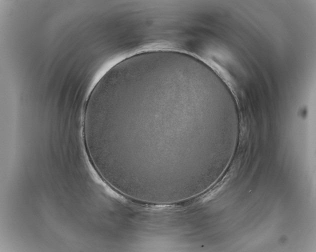 X0000091371390200708101523