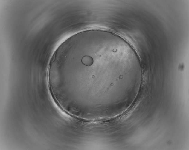 X0000091371391200708101523