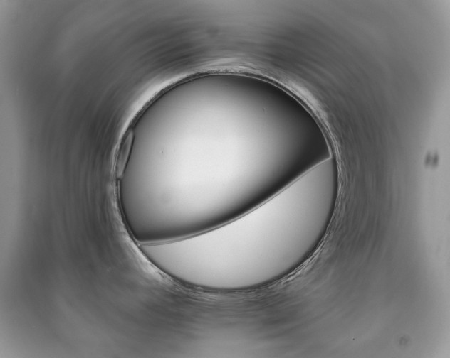 X0000091371392200708101523