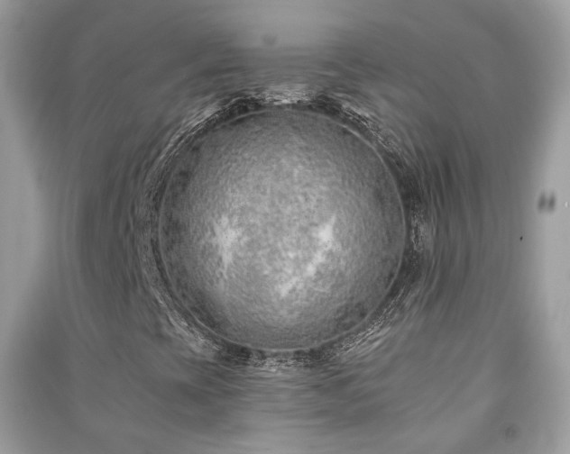 X0000091371393200708101522