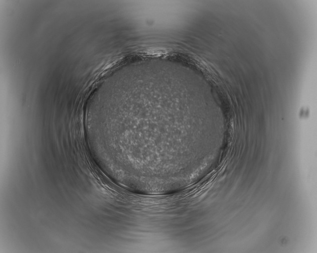 X0000091371394200708101522