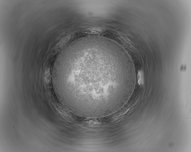 X0000091371395200708101522