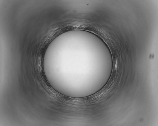 X0000091371396200708101522