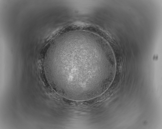 X0000091371397200708101522