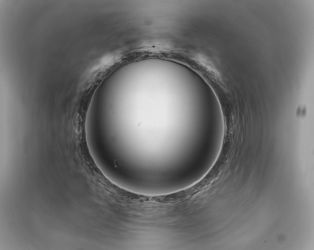 X0000091371398200708101522