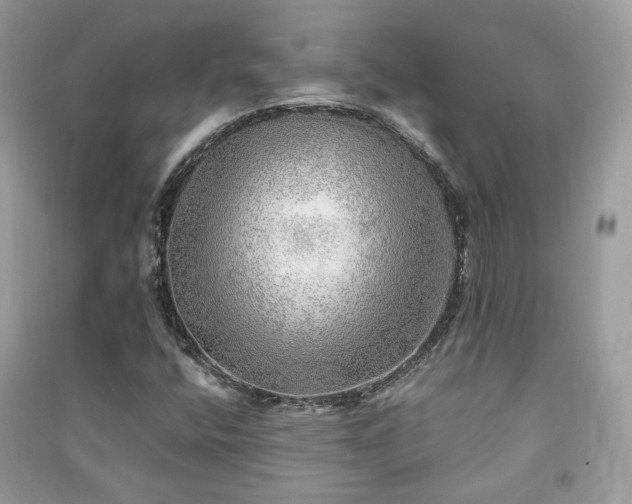 X0000091371400200708101522