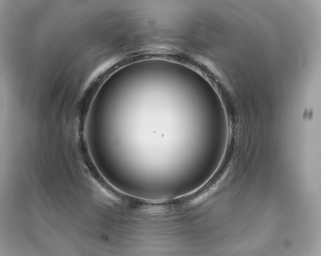 X0000091371402200708101522