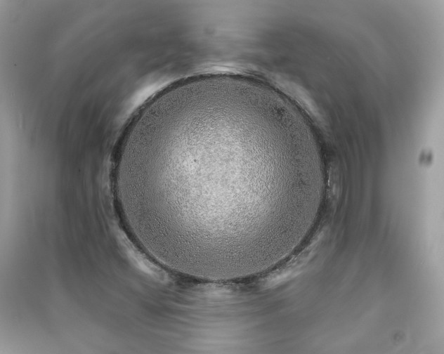 X0000091371404200708101522