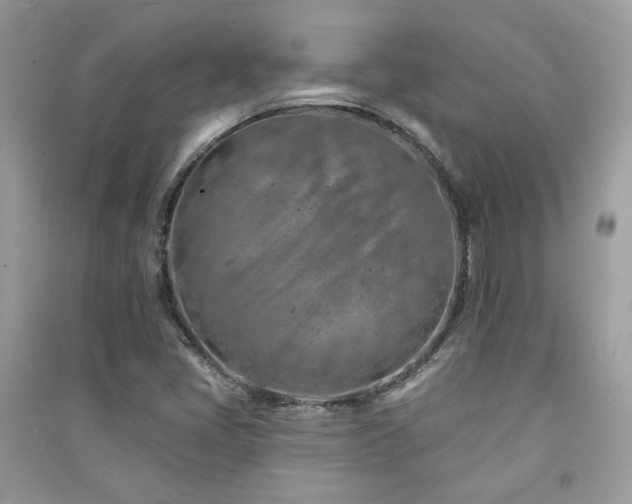 X0000091371405200708101522