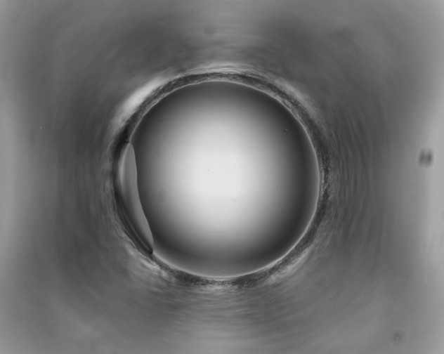 X0000091371406200708101522